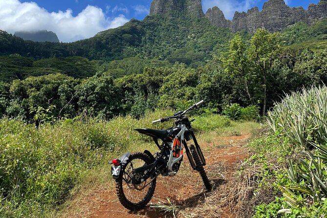 Unique excursion to Moorea on a 100% electric motorbike - Why an electric motorbike suits Moorea