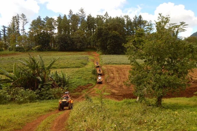 Unique excursion to Moorea on a 100% electric motorbike - Ōpūnohu Lookout at 240 meters
