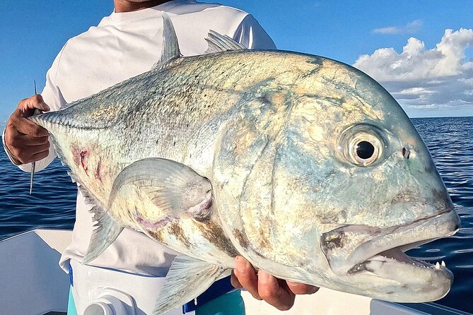 Unique in Raiatea: discover the lagoon, fish, cook, enjoy! - Jardin de Corail and the water stops