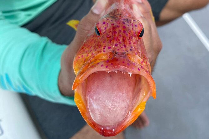 Unique in Raiatea: discover the lagoon, fish, cook, enjoy! - How Captain Kenzo shapes the experience