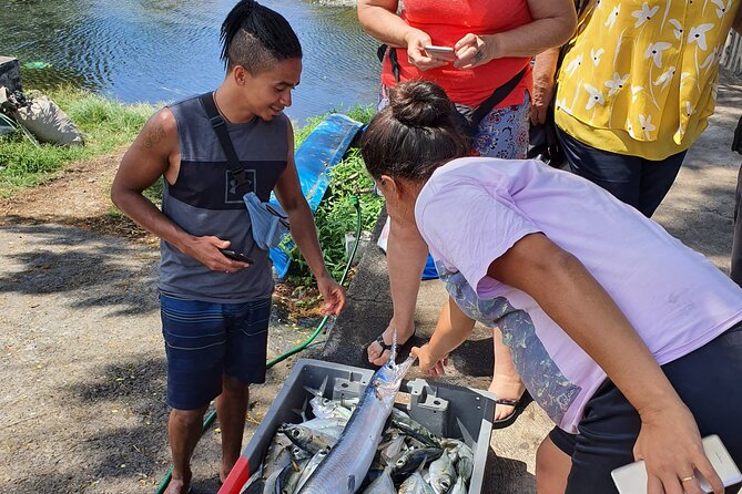 Unique Tahiti Tour - personalised, small group west coast tour - Vaipahi Water Gardens: the scenic centerpiece