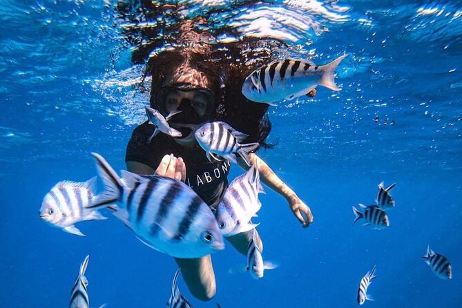 Want to escape? Treat yourself to a snorkeling session in Tahiti! - Key points at a glance