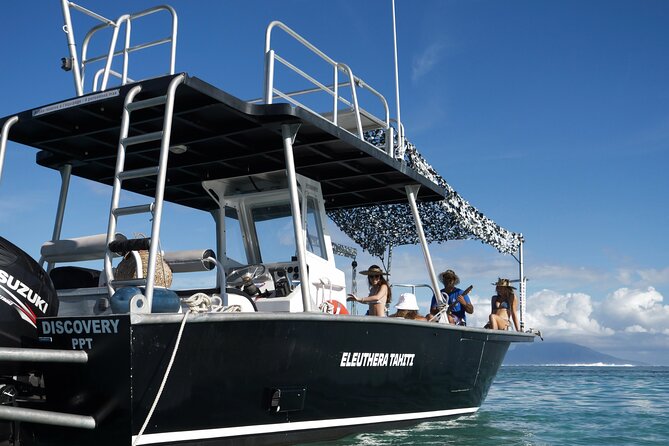 Whale Watching Activity - Reef snorkeling and possible turtle time