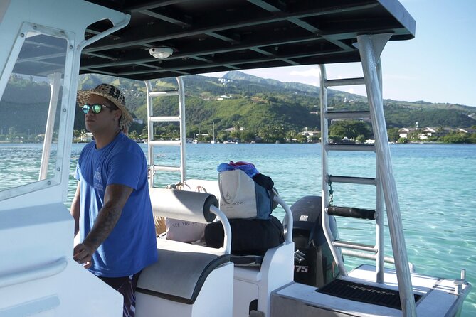 Whale Watching Activity - Equipment, comfort, and safety