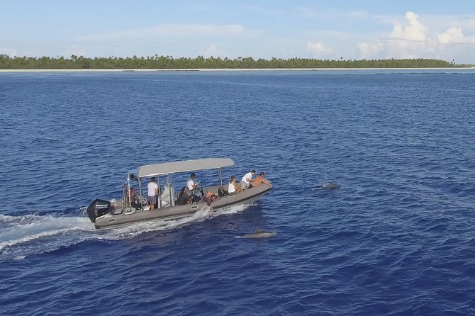 Whale Watching Bora Bora - Is $304 a fair price?