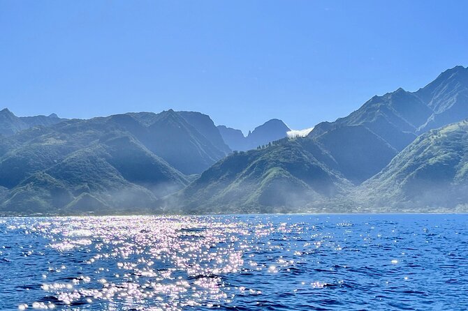 Whale watching DE Humpback West Coast of Tahiti - Who should book this excursion