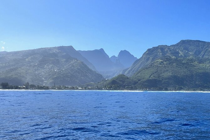 Whale watching DE Humpback West Coast of Tahiti - A locally built boat and a small group