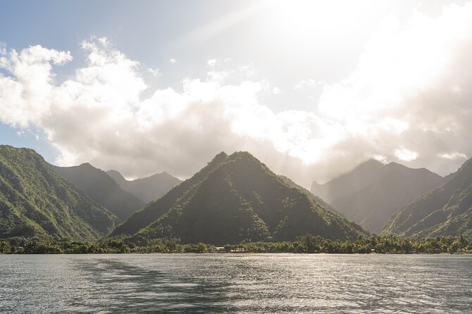 Whale watching DE Tahiti Peninsula - The crew and the tone of the experience