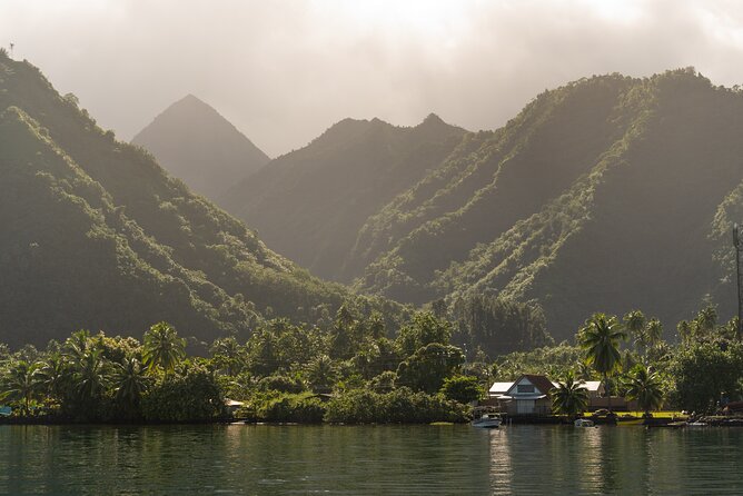 Whale watching DE Tahiti Peninsula - Who should choose this whale tour