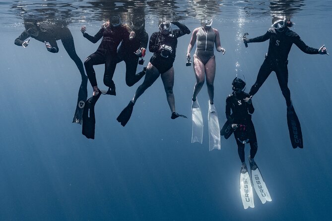Whale Watching Shared Half Day - Four hours on Moorea’s open water