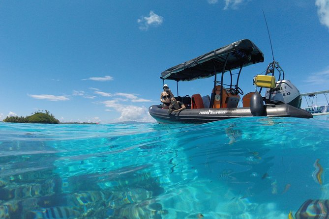 Whale Watching Tours in Bora Bora - Why the six-person limit matters