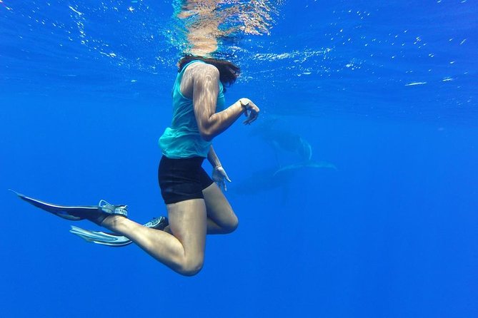 Whale Watching Tours in Bora Bora - Listening for humpback songs with the hydrophone
