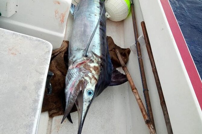 Wholesale Fishing in Poti Marara at Tahiti Teahupoo Peninsula - Who should book this private fishing trip
